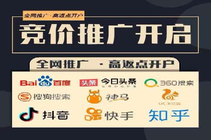 SEM主管实战技巧：案例分享与解读